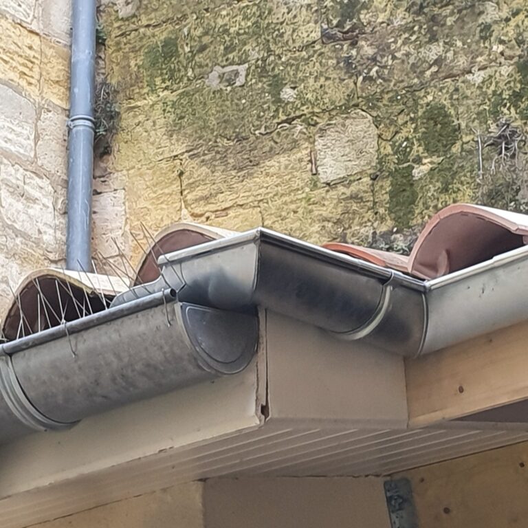 imgi_10_370f6c8b3fedd688814d7df8951e30e7