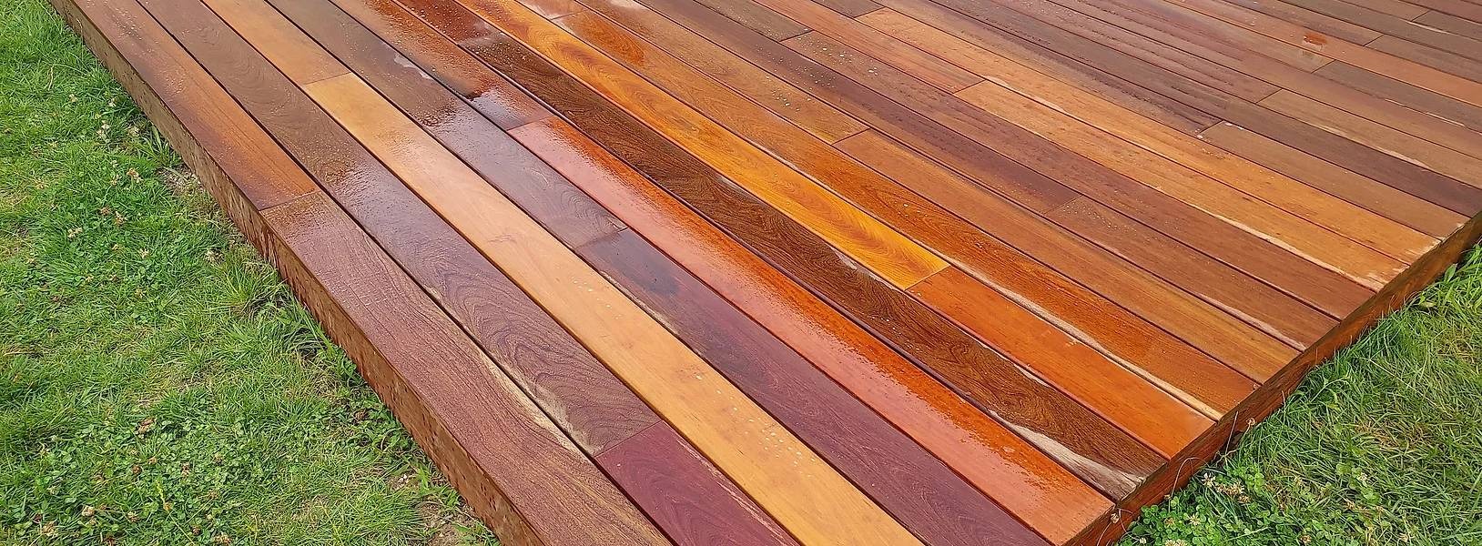 imgi_18_image13jpg_642ec6c4efbb19