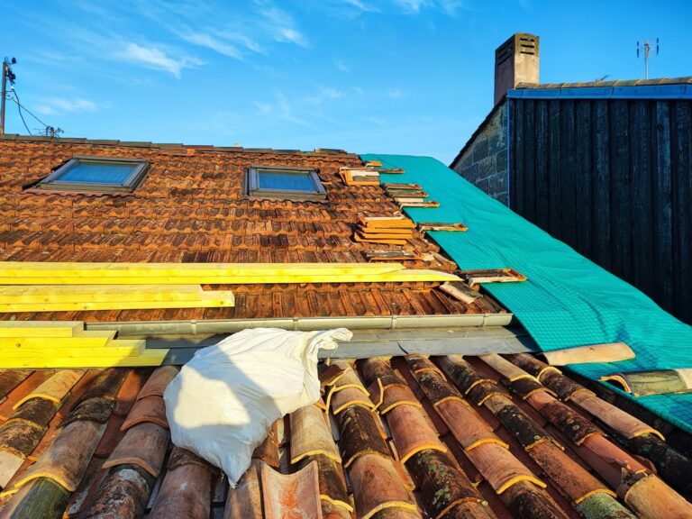 imgi_40_495be54d24cd32c76ed78984d743b8ea